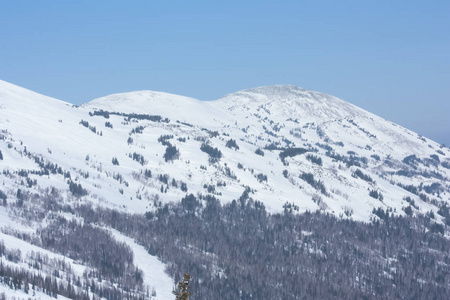 白雪皑皑的山峰。用智能手机