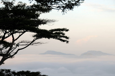 斯里兰卡康提在山区的早晨