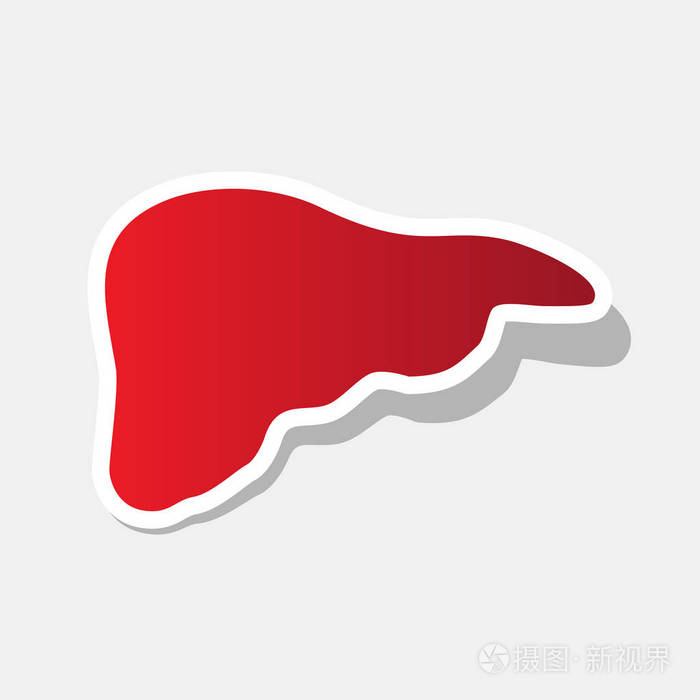 人体解剖图肝的标志矢量新的一年带红色图标与外部的