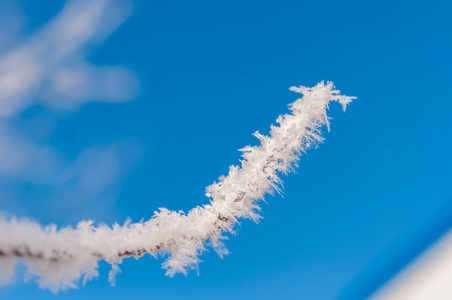 分支与霜雪花