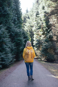 女性旅行者与大背包登山旅行生活方式的观念。森林极端假期户外