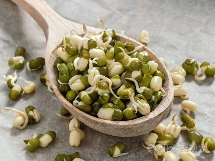 健康饮食.在木勺上发芽的小扁豆