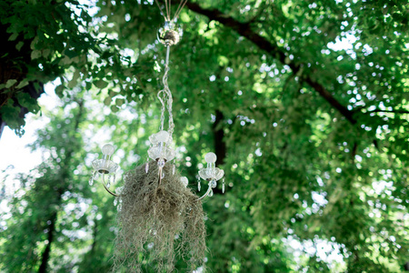 草药 鲜花 苔藓和木材的花卉盆景。春天夏天