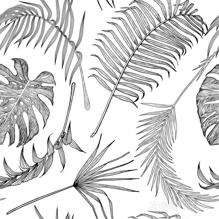 无缝黑白相间的花纹充满异国情调的叶子