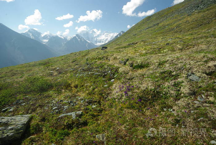 矮山是哪里_中国最矮的山有多高_高山和矮山的区别