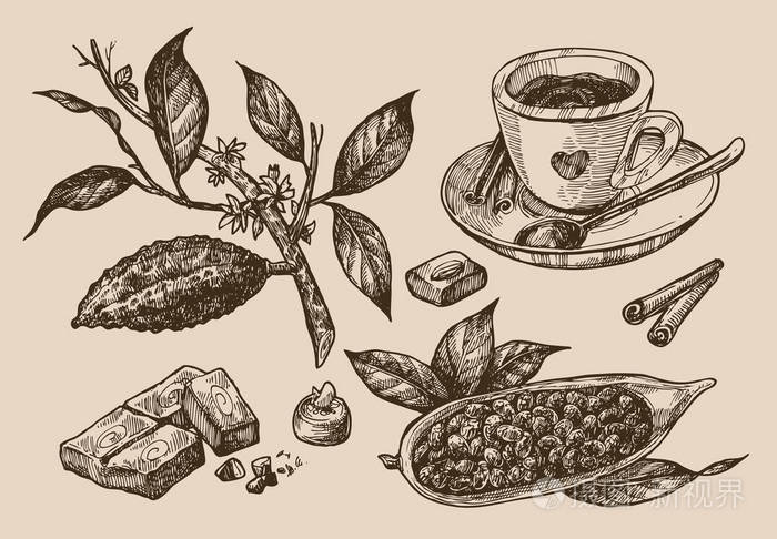 巧克力的素描图
