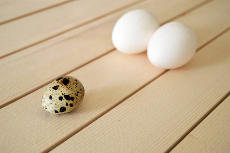 鸡蛋在鹌鹑的窝里，鸡和鹌鹑蛋，蛋里最美丽的白色地面图片的图片