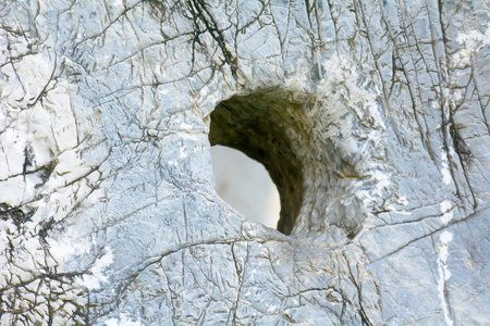 石园装饰