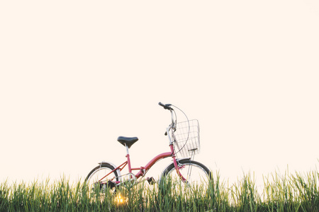 草田 概念的旅程 时髦色调时髦自行车