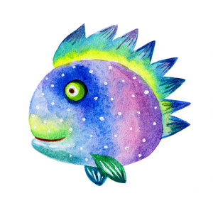 卡通水彩五颜六色的鱼儿插图孤立在白色背景上.多彩手绘复古插画.