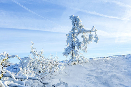 阳光下冬天平静与美丽的山地景观