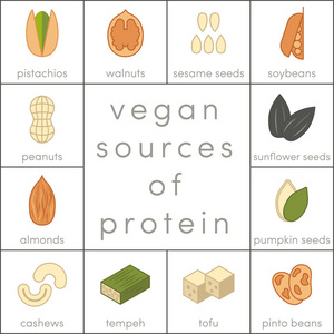 素食主义者的蛋白质来源