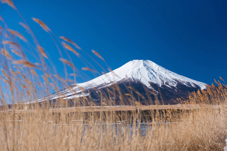 草山富士