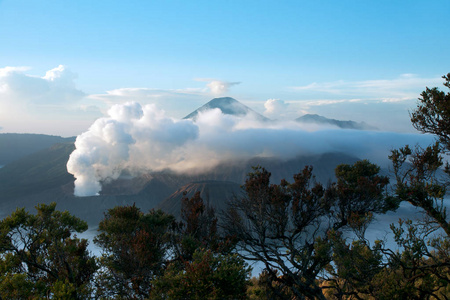一个活跃的火山，在印度尼西亚东爪哇的婆罗