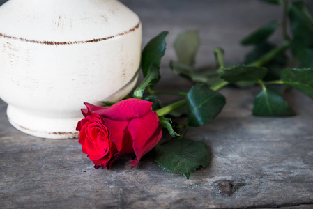 红玫瑰和白色花瓶