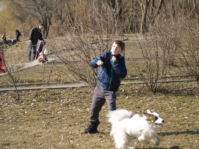 男孩训练他的狗