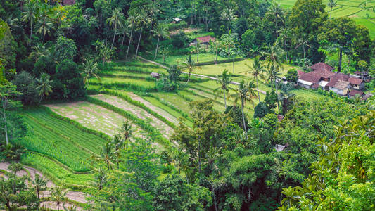 水稻 tarrace 和 Sidemen，印度尼西亚巴厘岛的小村庄