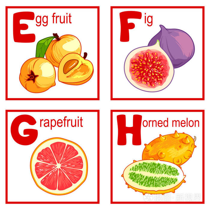 字母与可爱的水果