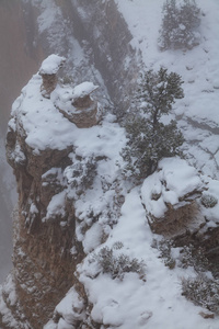 南缘雪