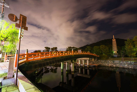 宇治河夜景