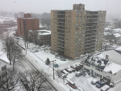 康涅狄格州斯坦福德的雪