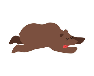 野生动物的死者.灰熊的照片