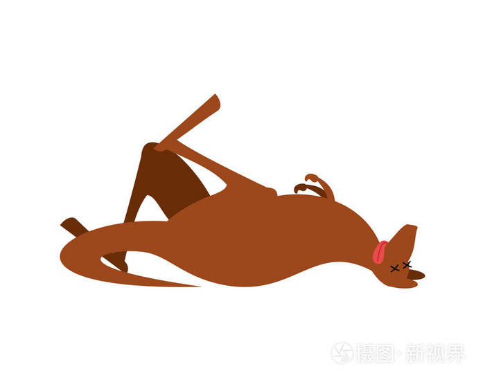 死的袋鼠动物是死亡澳大利亚的野兽的