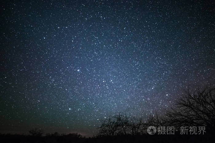 在晚上与树和星星的农村冬季景观.