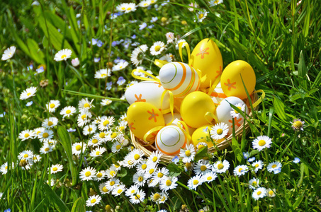 草地上的复活节鸡蛋