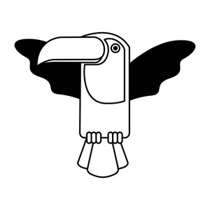 巨嘴鸟鸟巴西图标