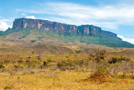 罗赖马 Tepui，格兰萨瓦纳委内瑞拉