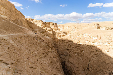阿拉瓦沙漠旅行在以色列