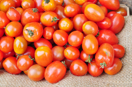 红色小新鲜西红柿图片