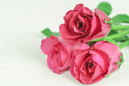 粉红色玫瑰花背景