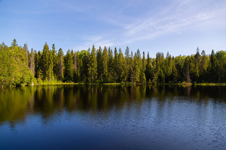 在 Valaam 岛上的夏天野生景观湖