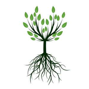 与根矢量树图片