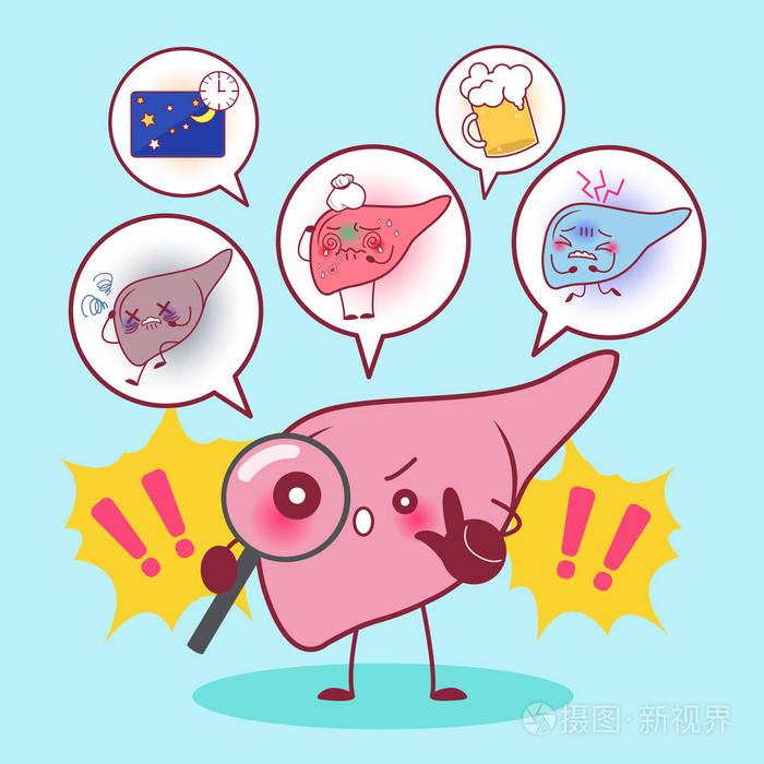 肝脏的健康问题