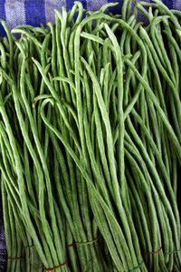 绿色的长豆图片