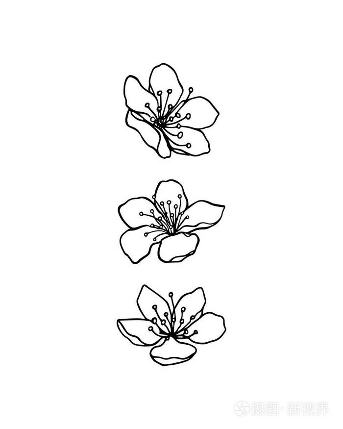 手绘制的樱花花插画-正版商用图片0xrhhd-摄图新视界