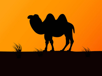 骆驼队剪影图片