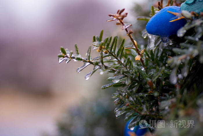在冻雨后的清晨, 户外蓝色圣诞灯特写镜头
