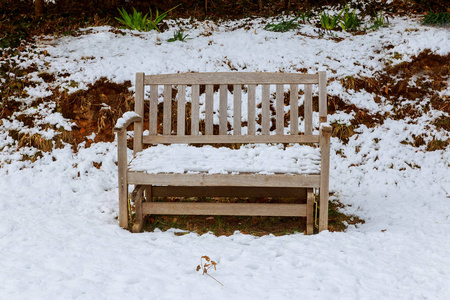 花园长凳覆盖着新鲜的雪