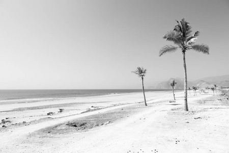 在阿曼阿拉伯海椰树沙滩天空和山区附近的山
