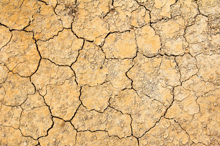 破解干棕壤的背景下，全球变暖的影响