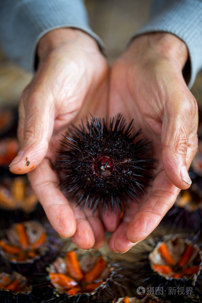 新鲜的海胆
