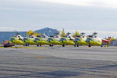 几架直升飞机停机场维修图片