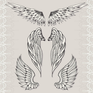 三幅素描的翅膀照片