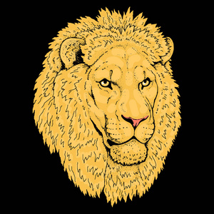 美丽的狮子的艺术品。Detailed.African 捕食者