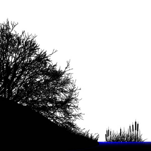 现实树剪影矢量插图。