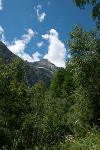 在山中徒步旅行